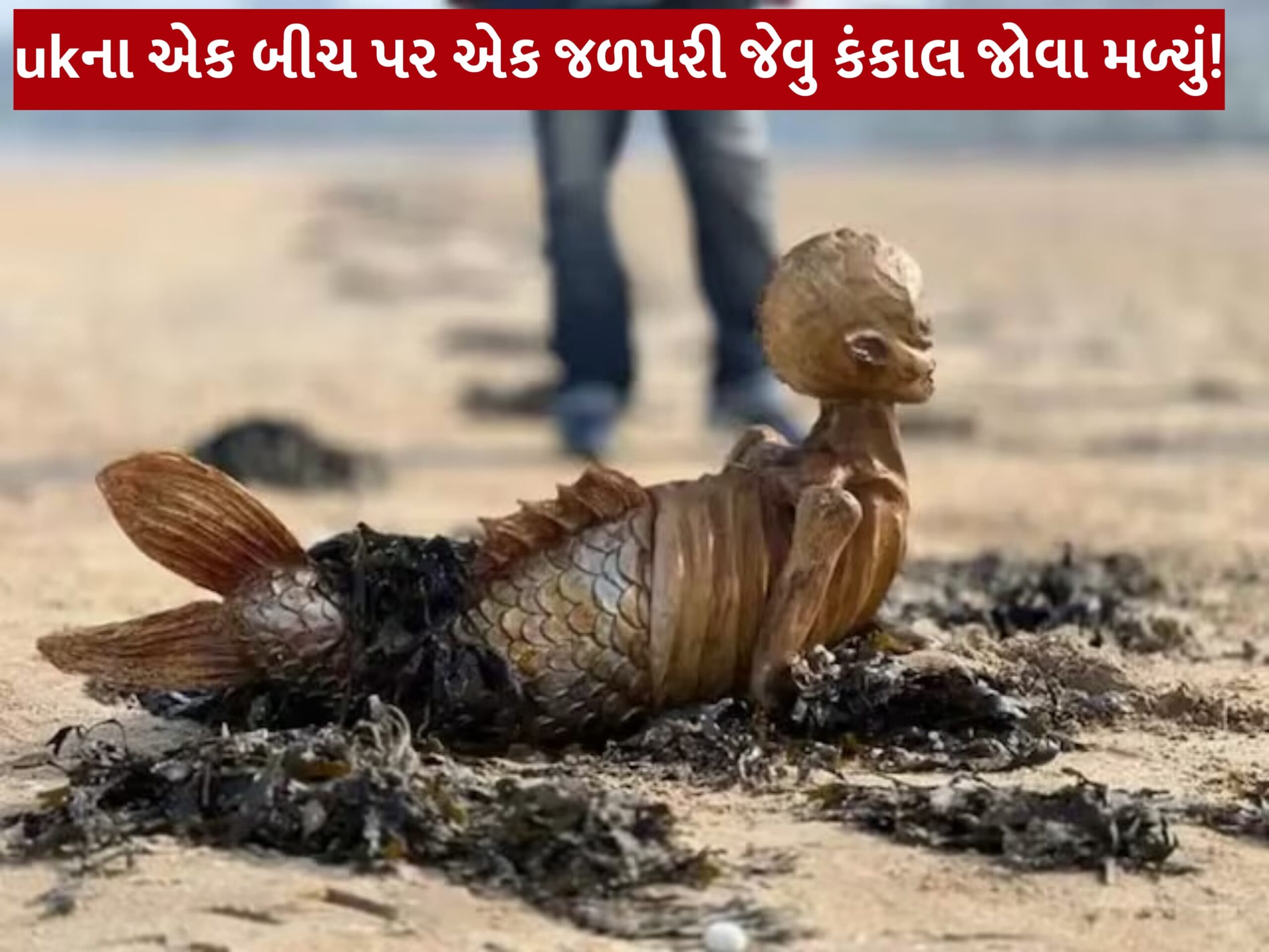 ukના એક બીચ પર એક જળપરી જેવુ કંકાલ જોવા મળ્યું!